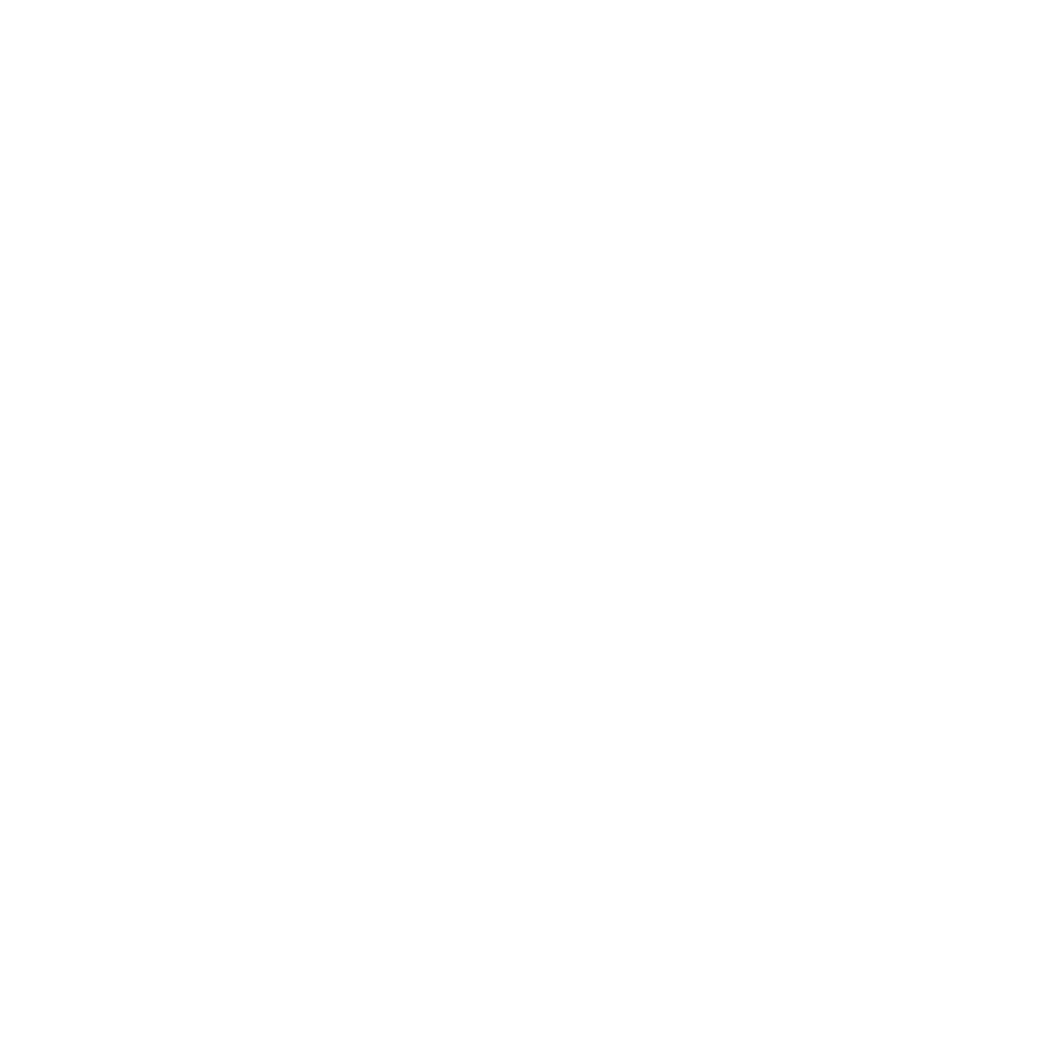 Circus Group